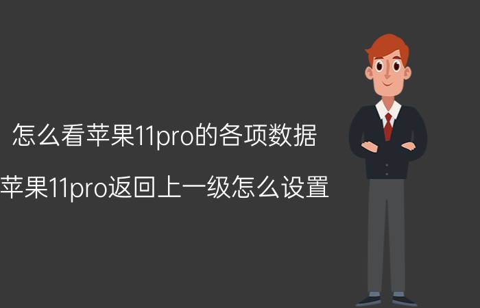 怎么看苹果11pro的各项数据 苹果11pro返回上一级怎么设置？